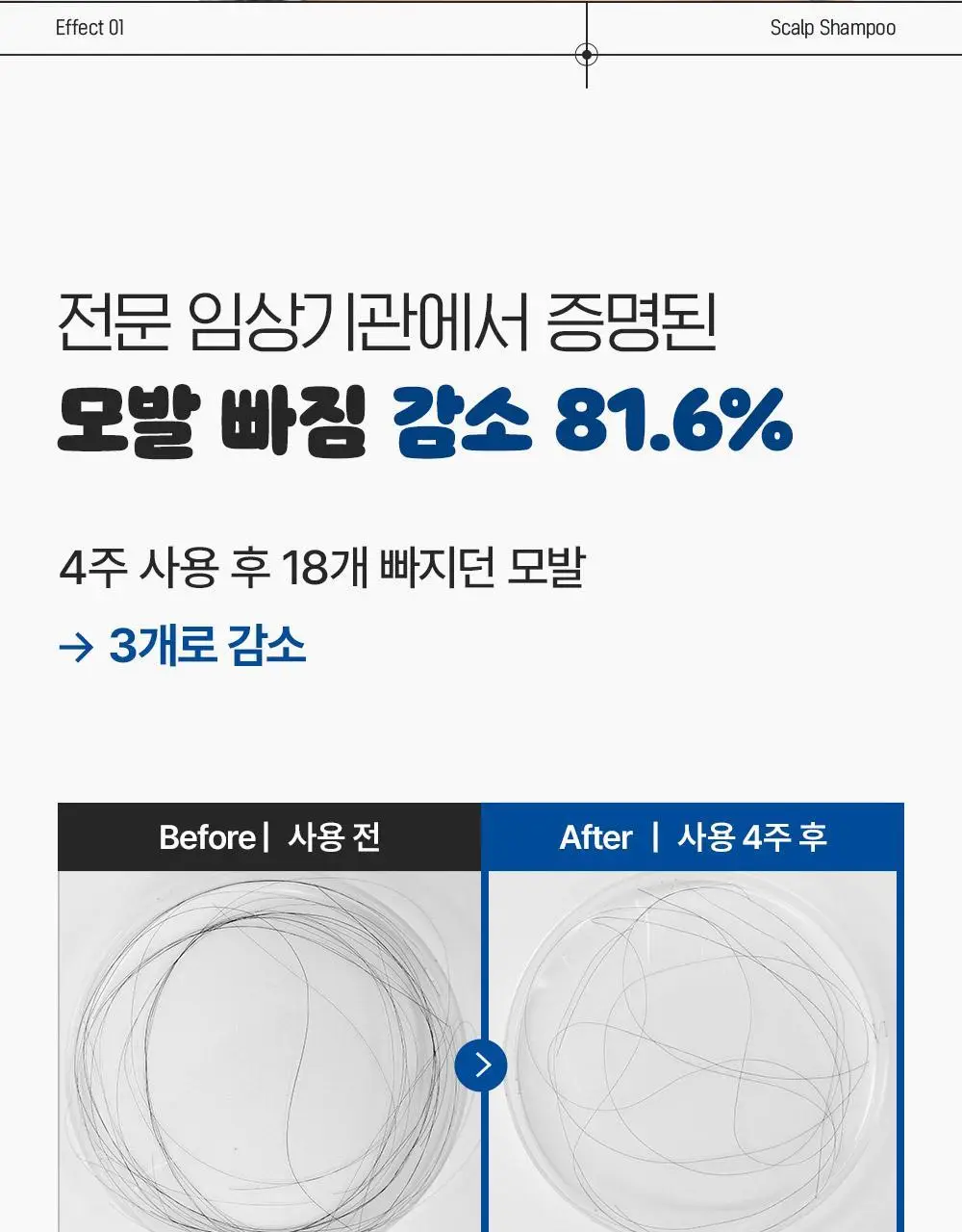 [포켓몬 에디션]다슈 데일리 밀크씨슬 블루바이옴 스칼프 샴푸 500ml(+피카츄 샴푸브러쉬) 상세페이지 29